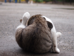 まる