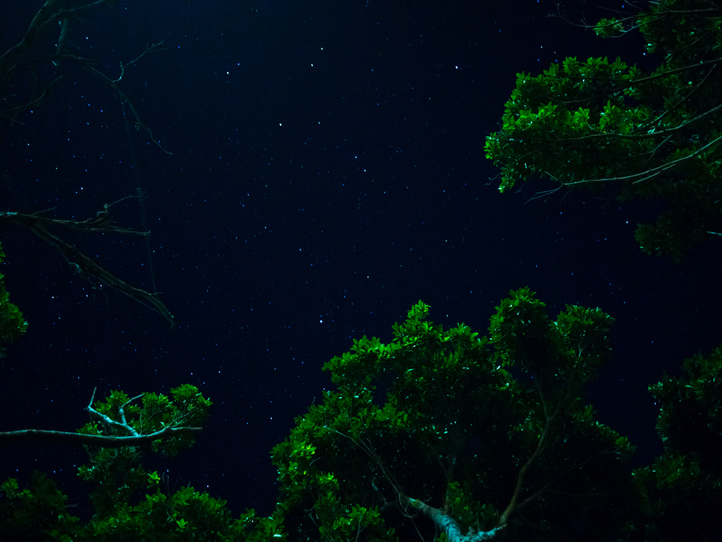 石垣島の夜空