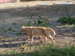 P5115018