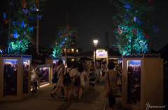 夜のウィッシングプレイス