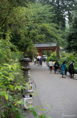 三室戸寺の参道