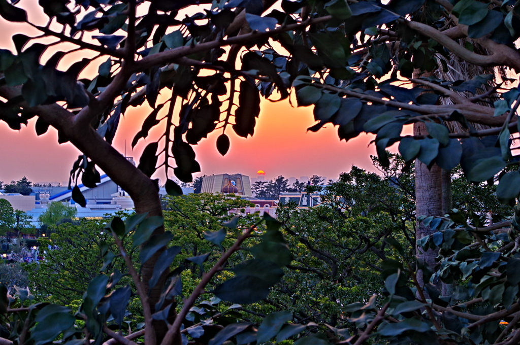 ランドの夕暮れ