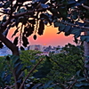 ランドの夕暮れ