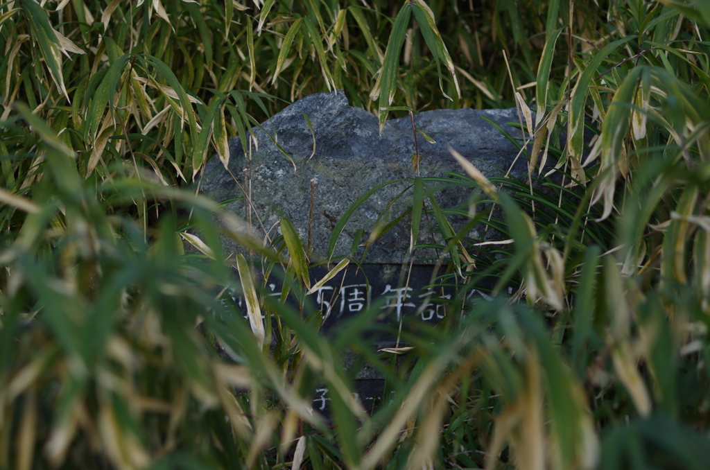 埋もれた記念碑