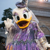 雨フォリーズデイジー姉さん