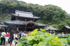 三室戸寺