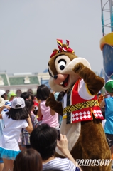 チップも教える！