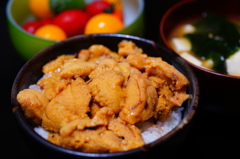 生ウニ丼(ウニ5個分！！)