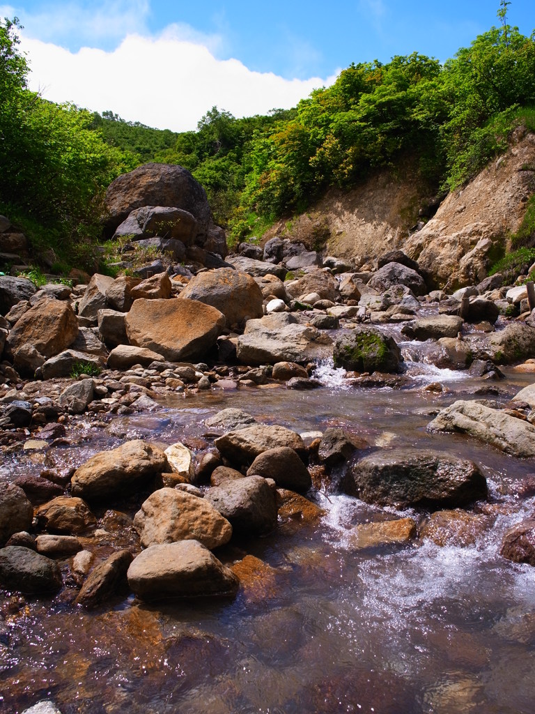 栗駒山 ゼッタ沢