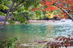 十和田湖で感じる、秋の足音