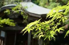 徳島・瑞巌寺にて