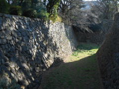 DSCN0105