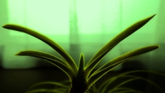 DSCF0108a