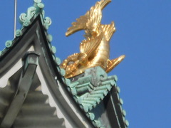 DSCN0114