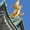 DSCN0114