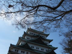 DSCN0111