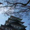 DSCN0111
