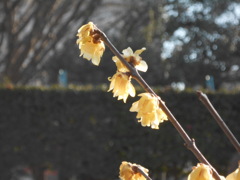 DSCN0120