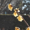 DSCN0120