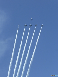 P1000368