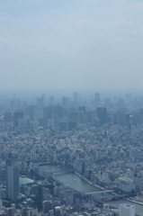 IMGP6458