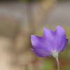 IMGP6284