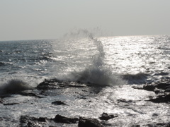 江ノ島・稚児ヶ淵/2014/03/16