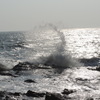 江ノ島・稚児ヶ淵/2014/03/16