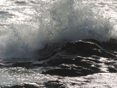 江ノ島・稚児ヶ淵/2014/03/16