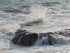 江ノ島・稚児ヶ淵/2014/03/16