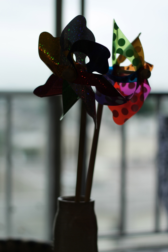 回る花弁