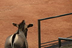 多摩動物公園−３
