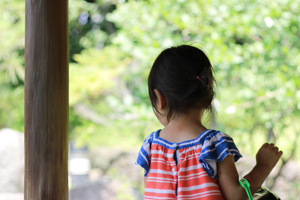 夏の涼風