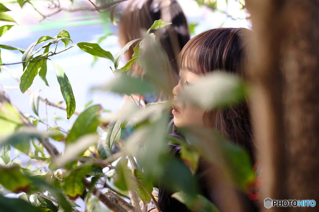 公園アドベンチャー