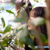 公園アドベンチャー