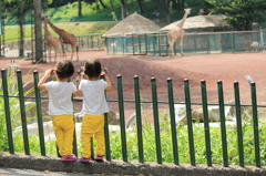 多摩動物公園−２
