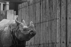 多摩動物公園−５