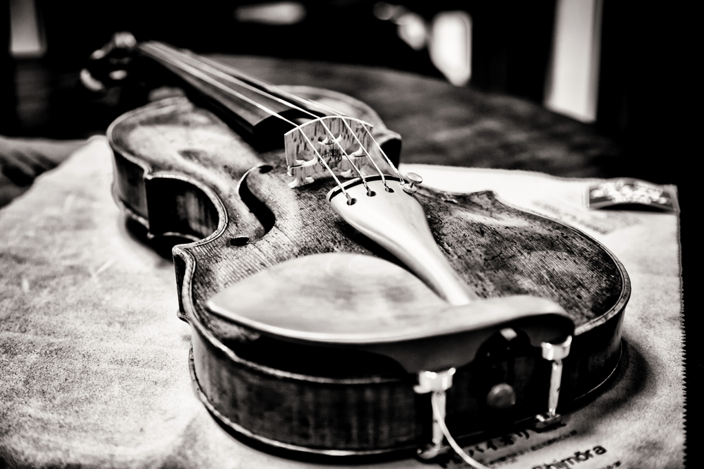 violin