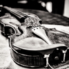 violin