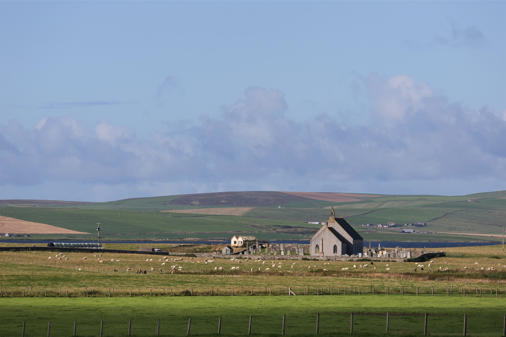 church and sheeps