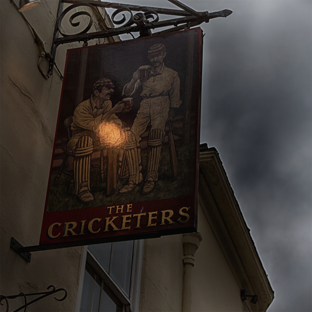 the cricketers