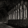 cloister in the ruin