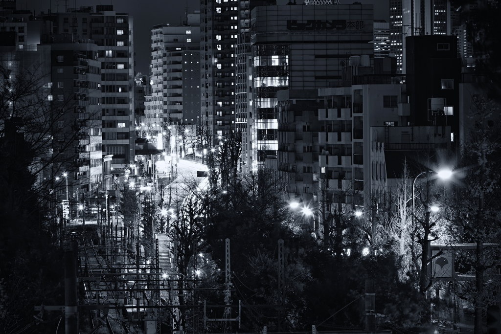 tokyo night