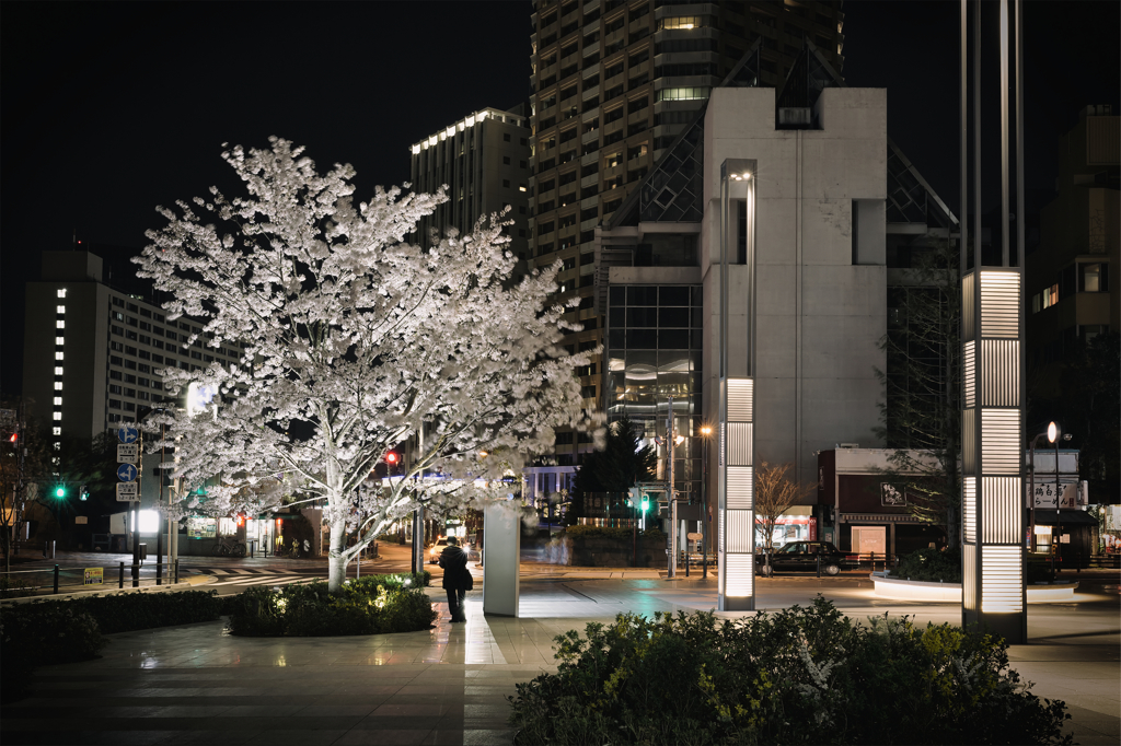 a spring night