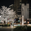 a spring night