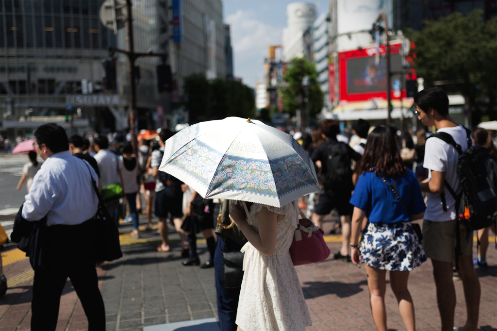 umbrella