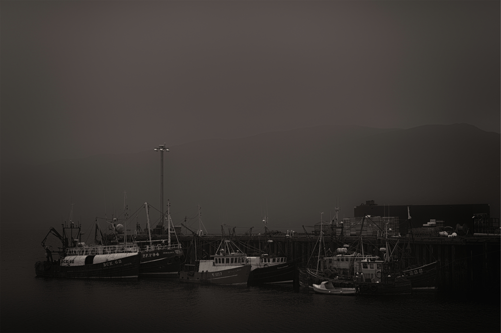 landscape in the fog