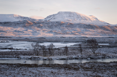 rannoch moor