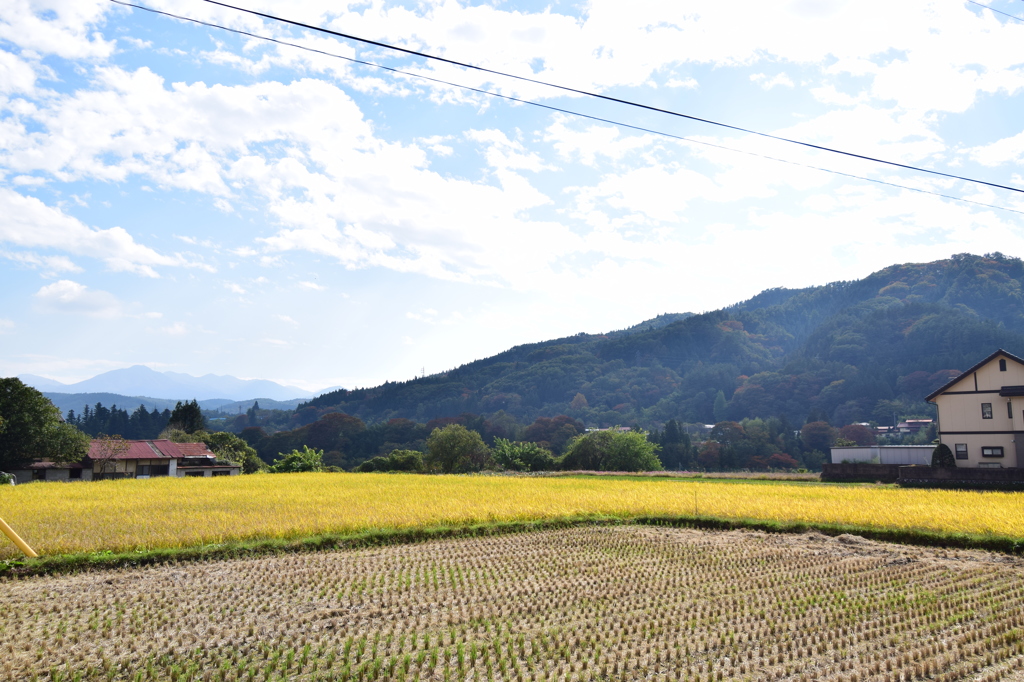 どこかの田畑。