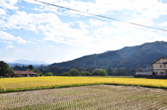 どこかの田畑。